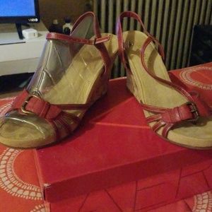 Red Aero Wedges